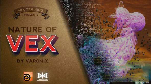 Houdini VEX语言教程 Mix Training – Nature of Vex