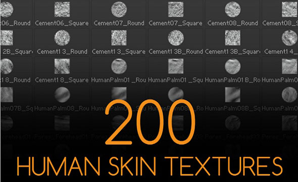 人物皮肤贴图材质素材 200 Human Skin Textures