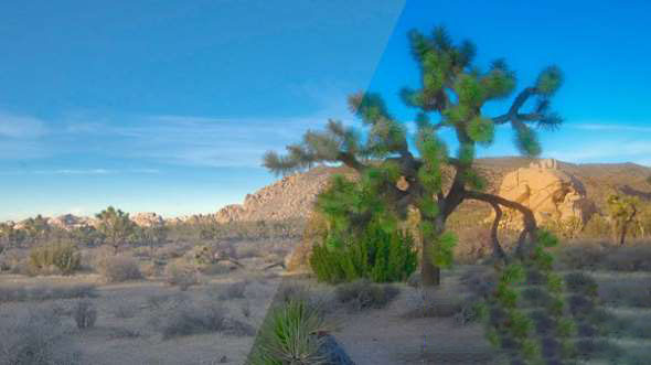 图片LUT调色教程+英文字幕Lynda – Creating Presets LUTs and Profiles for Photography