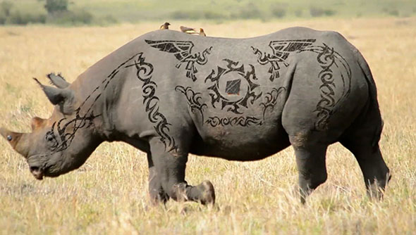 物体表面跟踪合成AE插件 Lockdown v2.8.7 Win Mac破解版+ 使用教程