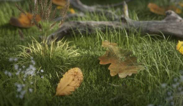 62个C4D Octane渲染器叶子材质预设