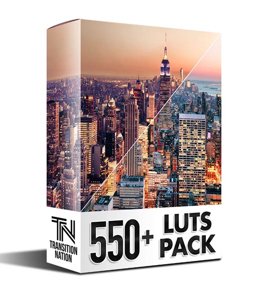 550+婚礼黑白户外树林室内电影级LUTs视频调色预设-图片1