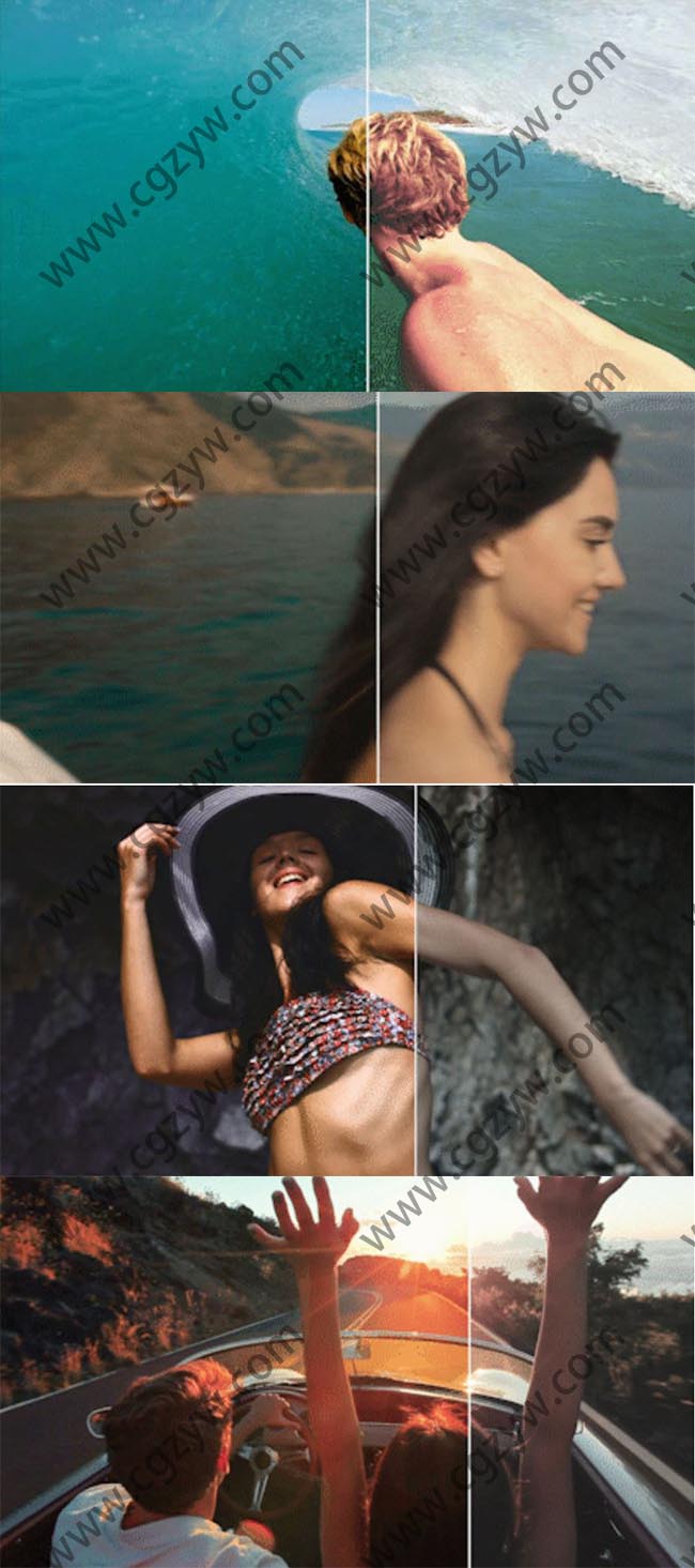 550+婚礼黑白户外树林室内电影级LUTs视频调色预设-图片2