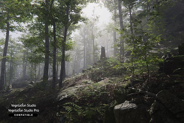 Unity森林环境-动态自然Forest Environment – Dynamic Nature v1.8.7