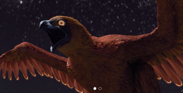 Houdini鸟类羽毛制作插件+教程 Gumroad – Feather Tools For Houdini FX