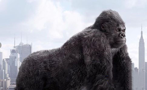 毛发模拟Maya插件 Peregrine Labs Yeti 3.6 For Maya 2018 – 2020 Win破解版