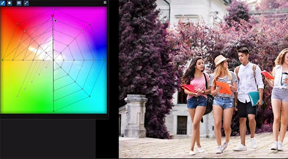 AE/PR/达芬奇视频调色插件 Timeinpixels Plug-ins Bundle 2020.2 Win破解版