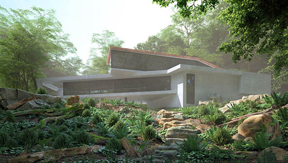 56个树枝树干岩石3D模型 Evermotion Archmodels 191