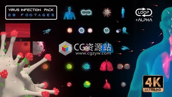 视频素材-4K新型冠状病毒感染三维医疗HUD界面人体肺部疾病视频元素包