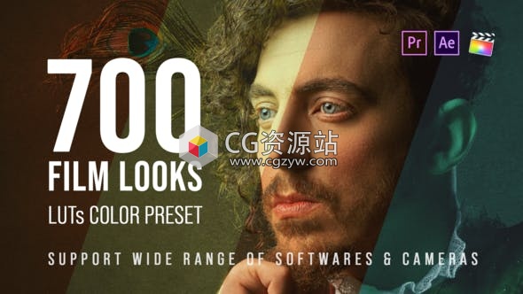 700个色彩校正电影摄影视频婚礼LUT调色预设