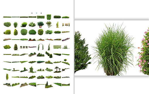 320组植物草花园元素灌木丛PNG格式高清图片V1-V4-图片1