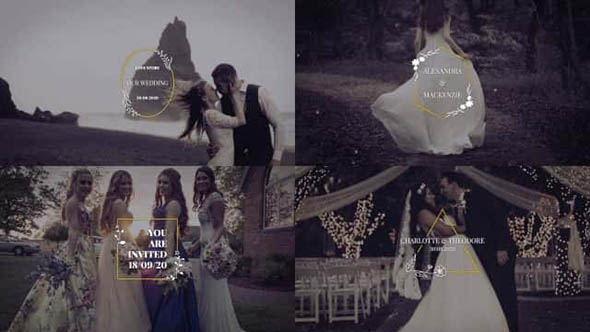PR模板-10个设计精美婚礼标题邀请函视频回忆片头