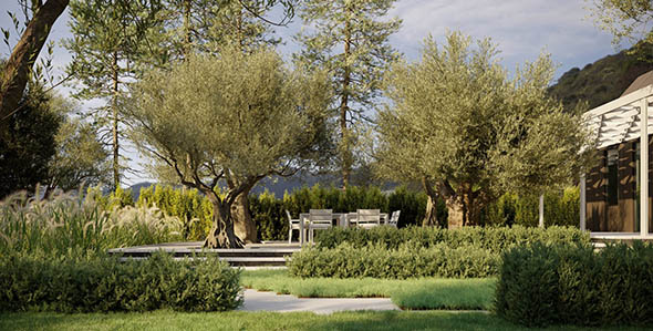 48组高质量3D树木草木植物模型集合-图片1