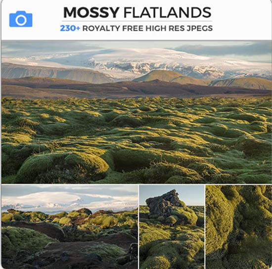 545组绿色草原荒野苔藓自然环境高清图片合集-图片1