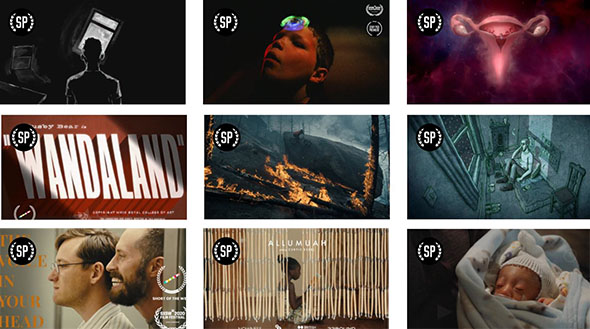 Vimeo STAFF PICKS官方认证创意CG特效动画微电影参考2020-8月份更新