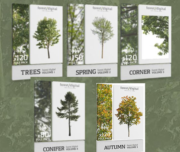 630张5K春季夏季针叶树角树秋树PNG高清图片1-5-图片1