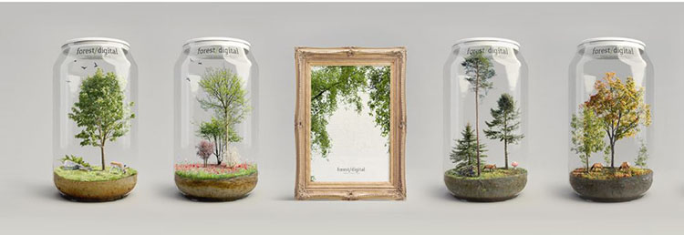 630张5K春季夏季针叶树角树秋树PNG高清图片1-5-图片2