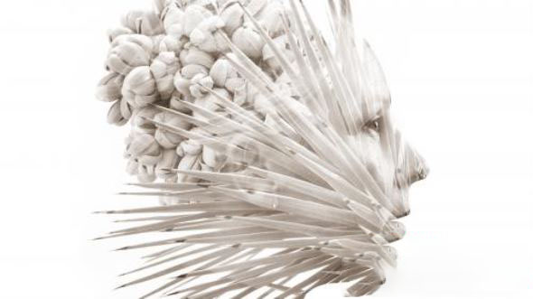 Photoshop 2021摄影后期基础PS教程+英文字幕