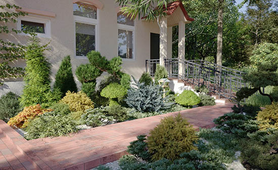 72种单模高质量3D植物模型集合-图片1