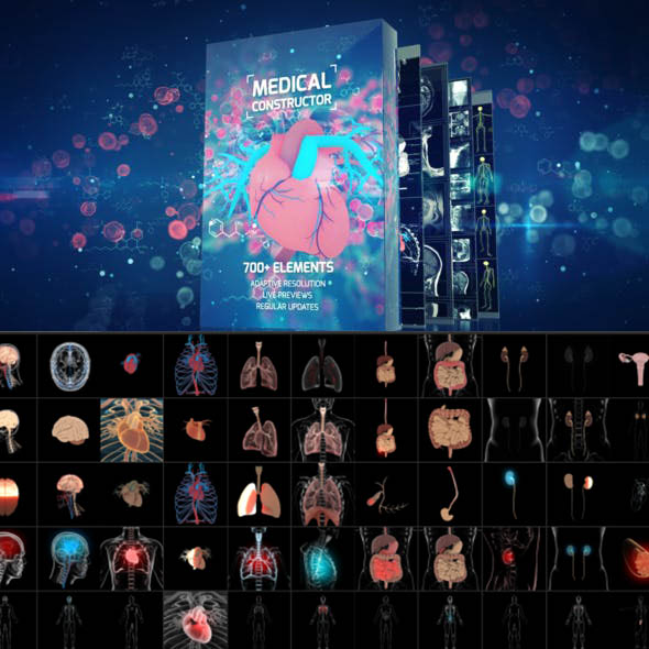 AE脚本+模板-700多种人体器官细菌医学医疗元素科学视频工具包-图片1