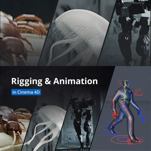 C4D三维模型绑定动画视频教程-运动设计学院