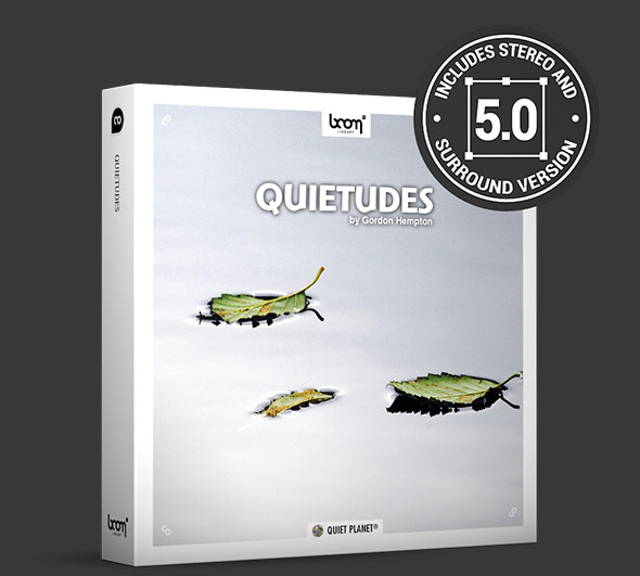 安静森林沙漠峡谷海岸风吹自然环境环绕立体音效