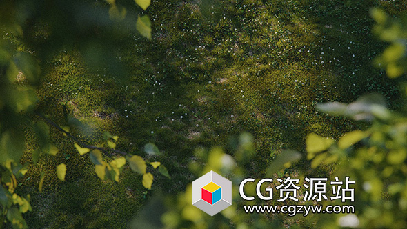 植物生成C4D插件预设 Laubwerks SurfaceSPREAD v2.0.9 C4D 2023 Win