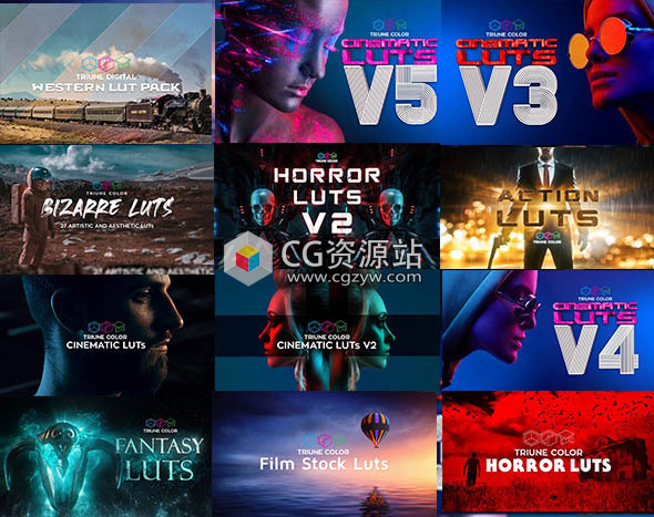 19套LUTS视频调色大气电影史诗惊悚恐怖胶片奇幻创意预设 Triune Digital(FCPX/达芬奇/AE/Pr等)-图片1