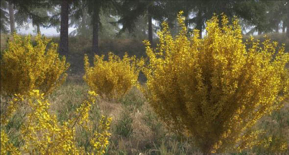 10个灌木丛植物3D模型3DS MAX格式