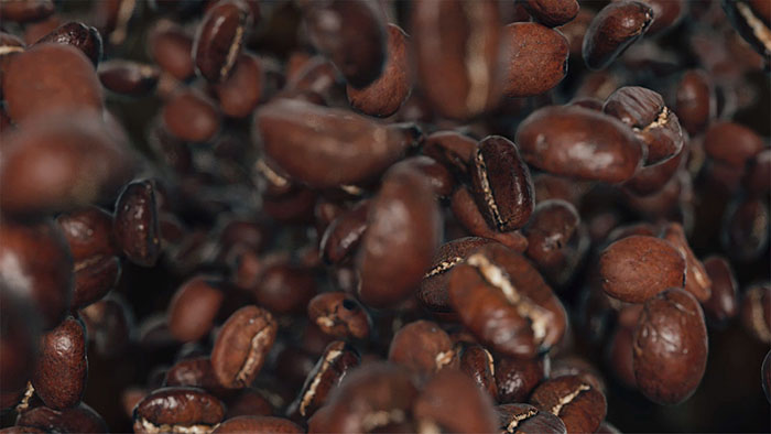 Houdini 18咖啡豆冰淇淋咖啡牛奶场景特效案例视频教程+源文件 第01卷-图片2