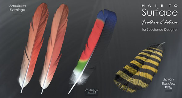 Substance Designer羽毛纹理材质教程笔刷预设