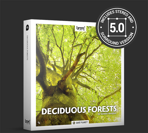 192组大自然森林雨林虫鸣鸟叫环境环绕立体无损音效