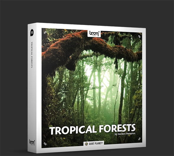 153个南美洲热带雨林虫鸣鸟叫大自然无损音效