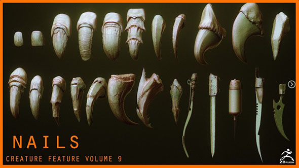 24组Zbursh猛禽动物指甲爪子雕刻细节3D模型笔刷预设