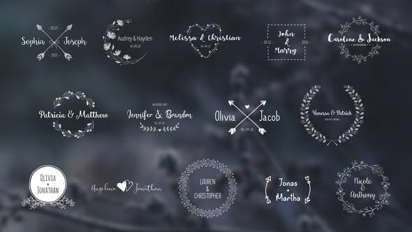 AE模板-14组时尚复古手绘图案婚礼标题包 Wedding Titles