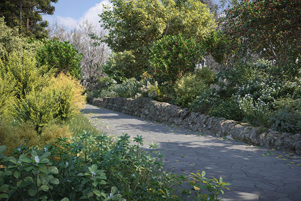 72个单模高质量绿色草木植物3D模型第76卷-图片1