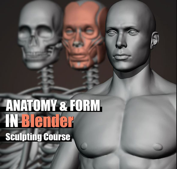 Blender男性人体形态解剖全身造型雕刻视频教程