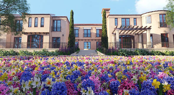 60种高质量园林花卉3D模型 Archmodels vol. 214