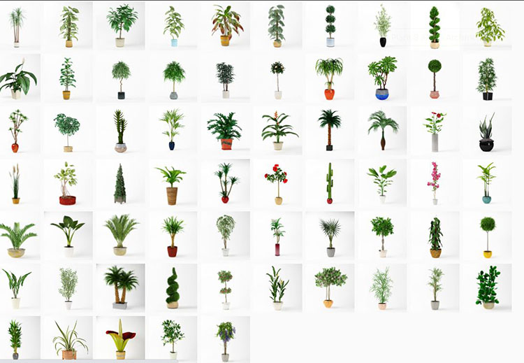 65种室内盆栽植物3D模型 Archmodels vol. 75-图片2