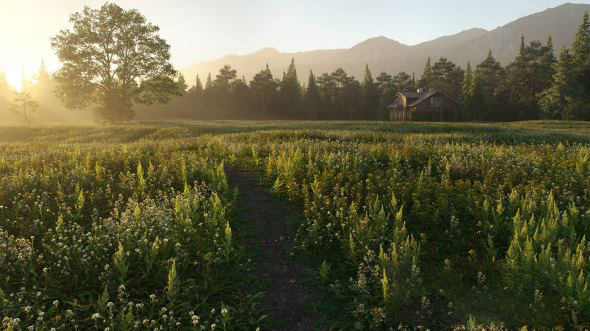 14个低多边形草植物3D模型 Archmodels Vol. 226