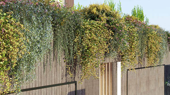 75组葡萄藤爬山虎植物3D模型合集-图片1