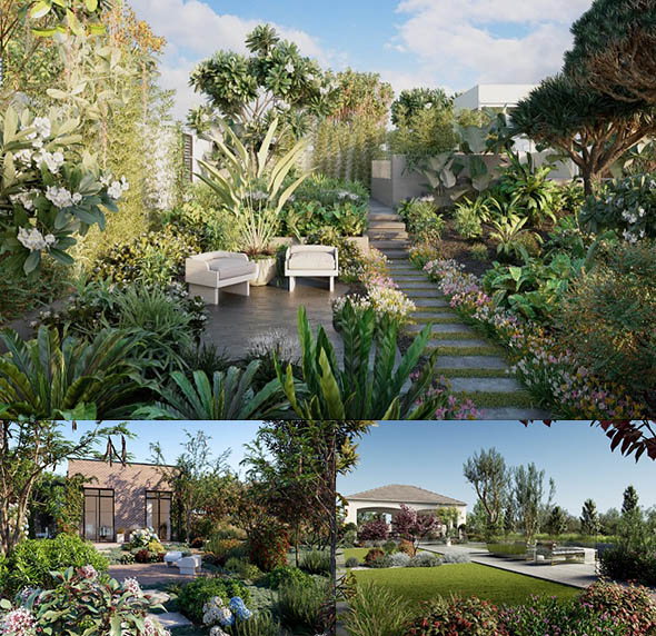 景观美化花园园林植物树木单模3D模型3套 3-5-图片1