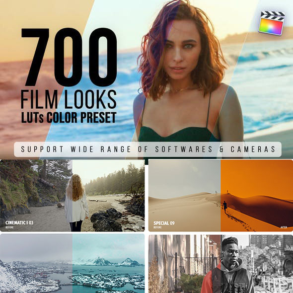 550+电影婚礼Luts调色预设(FCPX/达芬奇/AE/Pr等) Film Looks