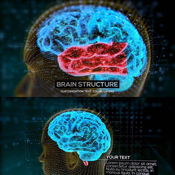 AE模板-HUD解剖学医学演示生物学人脑神经元大脑结构介绍