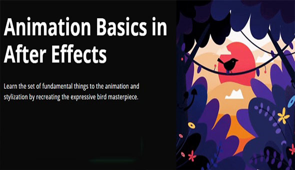 MG动画小鸟卡通插画场景AE教程