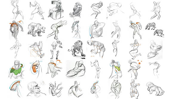 力动态表现绘画系列-FORCE-基础知识/表格/力的形状/人体解剖学-图片1