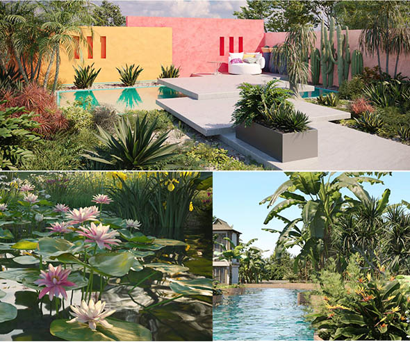 三套高质量花卉草木植物3D模型合集MAX格式-图片1