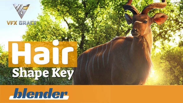 Blender真实毛发生成插件 Hair shape key V5.3+使用教程