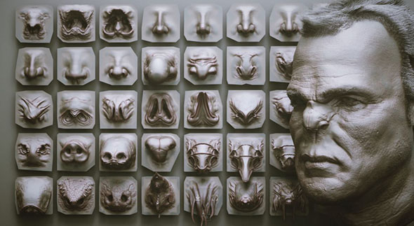 40个概念生物动物鼻子Zbrush VDM雕刻笔刷模型预设