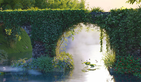 高质量杜兰花茉莉花曼陀罗半枝莲草木植物3D模型-图片1